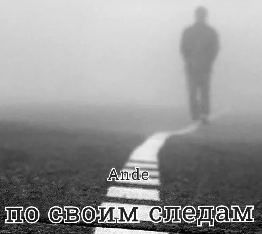 Обложка книги По своим следам