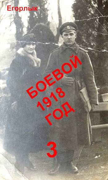 Обложка книги Боевой 1918 год-3