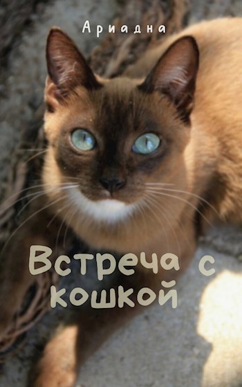 Обложка книги Встреча с кошкой