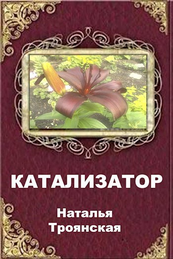 Обложка книги Катализатор