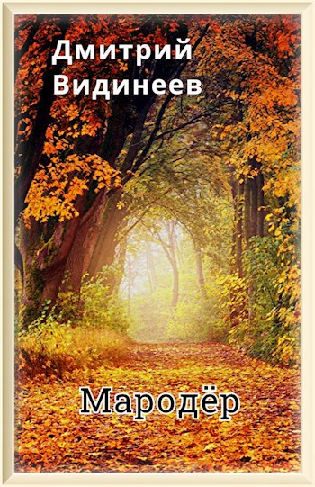 Обложка книги Мародёр