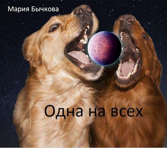 Обложка книги Одна на всех