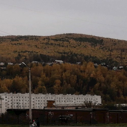 Обложка книги Проза о жизни