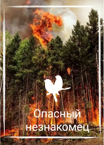 Обложка книги Опасный незнакомец