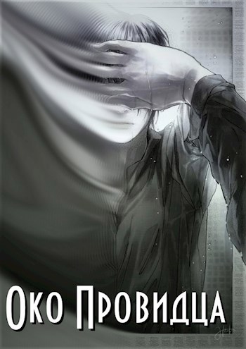 Обложка книги Око Провидца