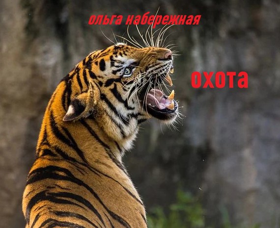 Обложка книги Охота