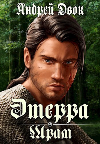 Обложка книги Шрам