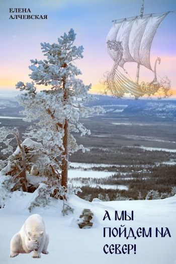 Обложка книги А мы пойдем на Север!