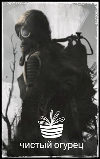 Обложка книги S. T. A. L. K. E. R. чистый огурец