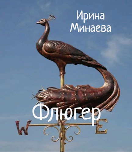 Обложка книги Флюгер