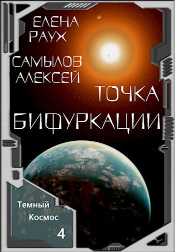 Обложка книги Точка Бифуркации