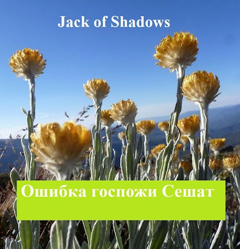 Обложка книги Ошибка госпожи Сешат
