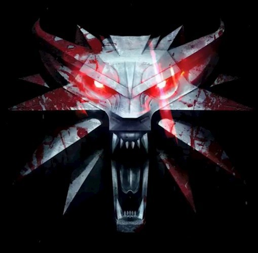 Обложка книги S. T. A. L. K. E. R. The witcher.