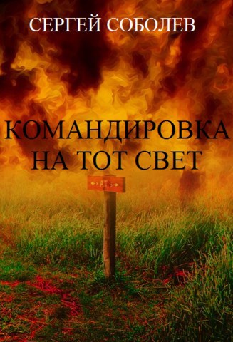 Обложка книги Командировка на тот свет