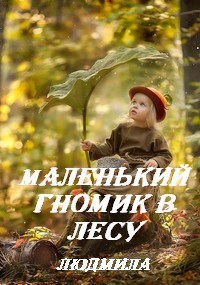 Обложка книги Маленький гномик в лесу