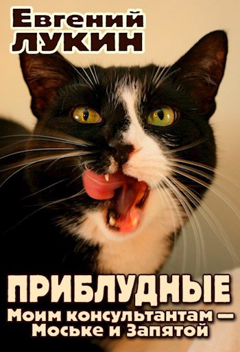 Обложка книги Приблудные