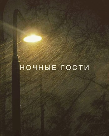 Обложка книги Ночные гости