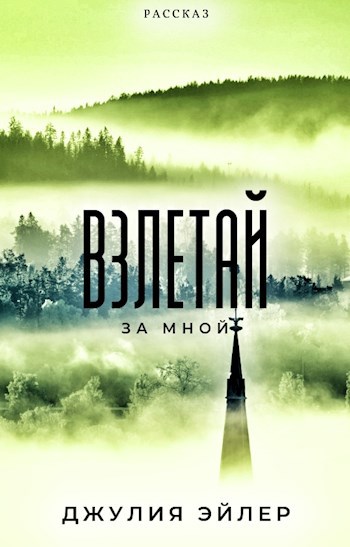 Обложка книги Взлетай