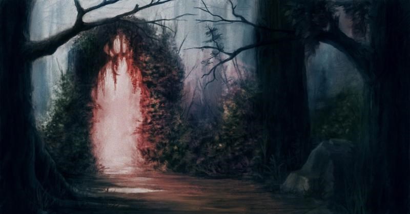 Обложка книги Тайна заповедного леса