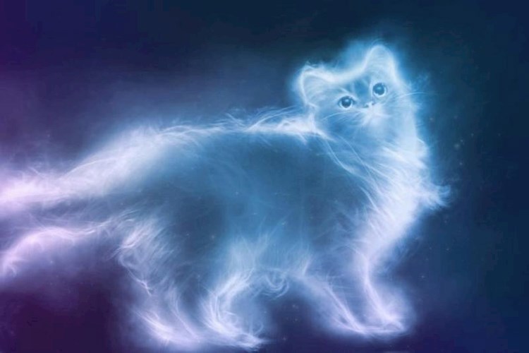 Обложка книги Кошки всякие нужны, кошки всякие важны