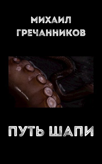 Обложка книги Путь Шапи