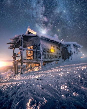 Обложка книги Птичий остров