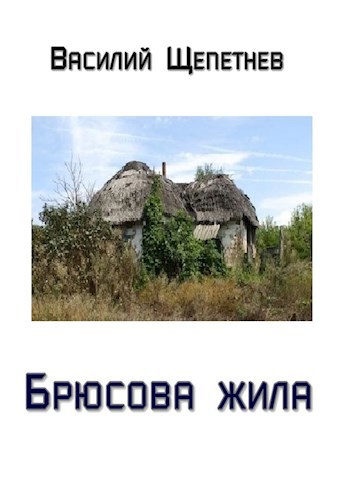 Обложка книги Брюсова жила