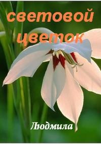 Обложка книги Световой цветок