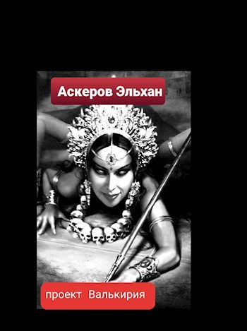 Обложка книги Проект Валькирия