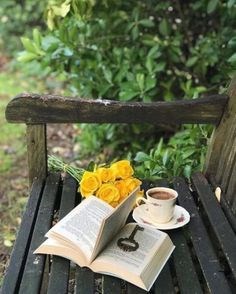 Обложка книги Стихи