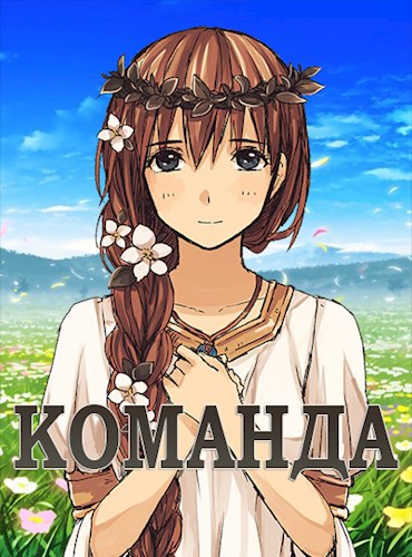 Обложка книги Команда