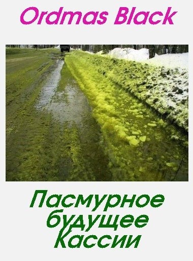 Обложка книги Пасмурное будущее Кассии