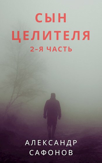 Обложка книги Сын целителя 2