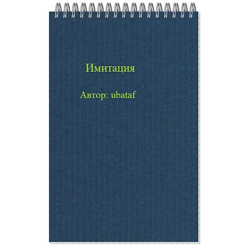 Обложка книги Имитация
