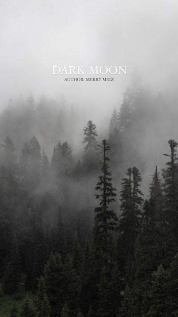 Обложка книги DARK MOON(Темная Луна)