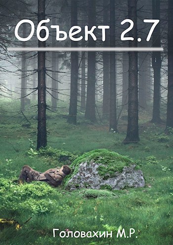 Обложка книги Объект 2.7