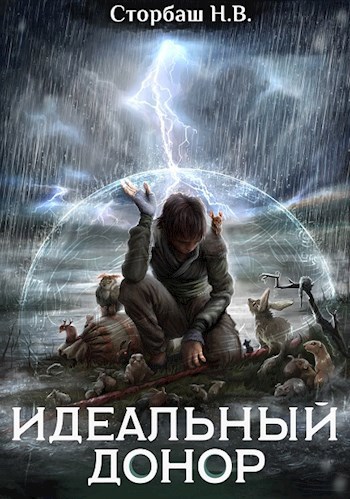 Обложка книги Идеальный донор. Герой