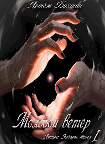 Обложка книги Молодой ветер