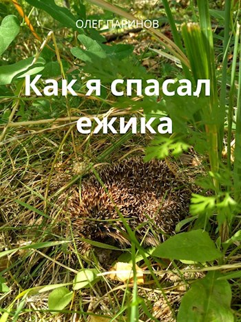 Обложка книги Как я спасал ежика