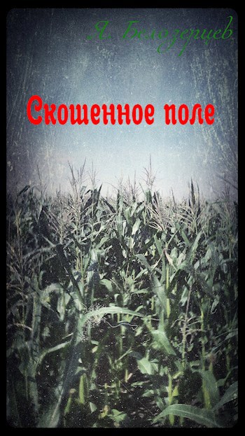Обложка книги Скошенное поле