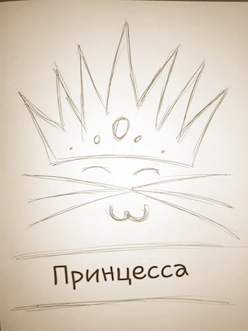 Обложка книги Принцесса