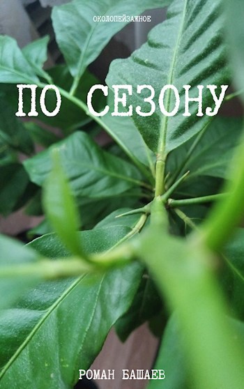 Обложка книги По сезону