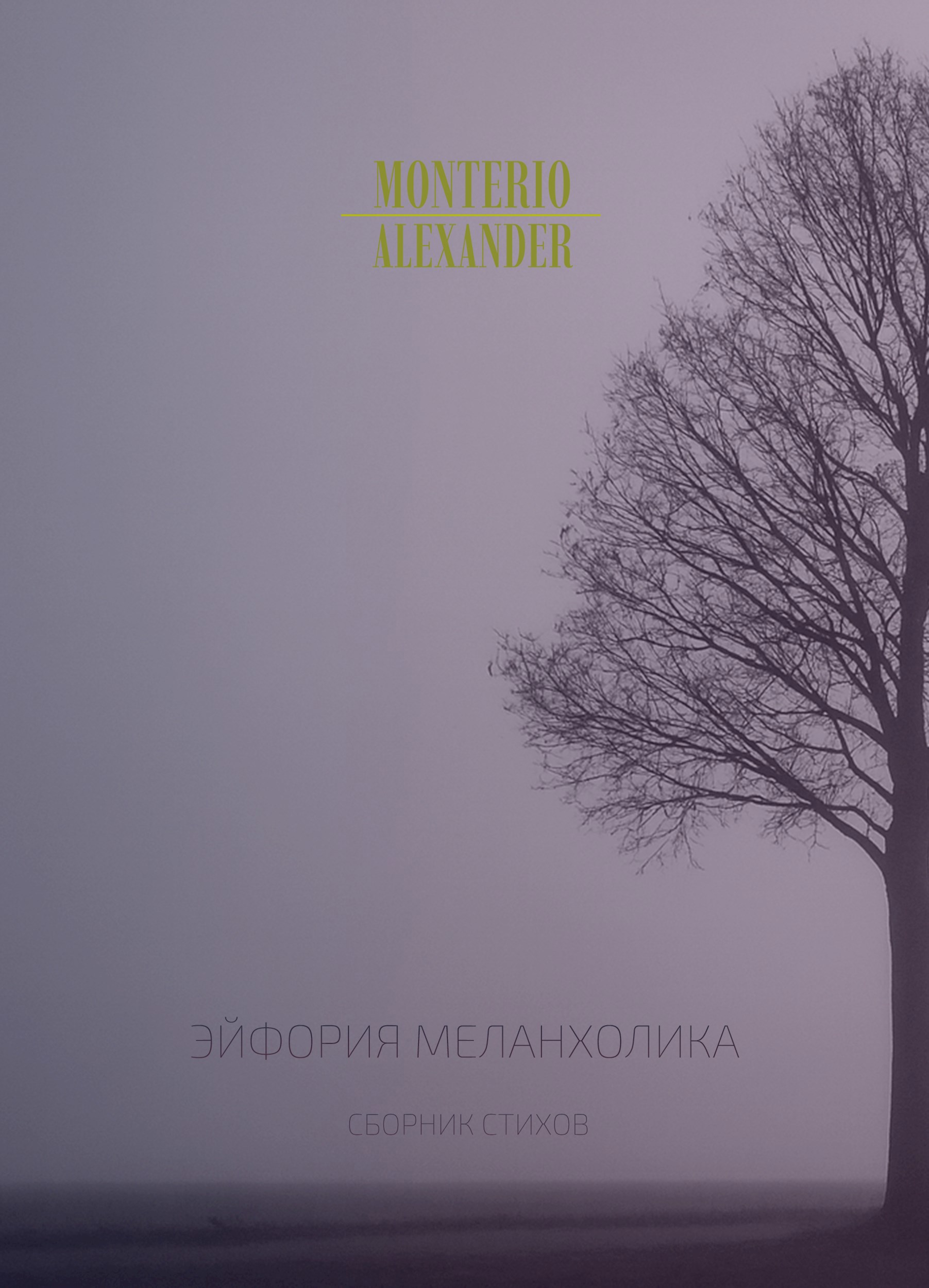 Обложка книги Эйфория меланхолика