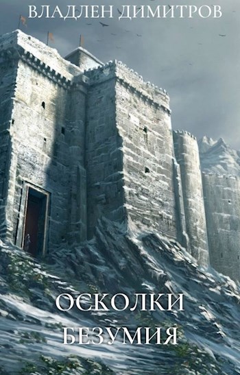 Обложка книги Осколки безумия