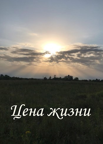 Обложка книги Цена жизни