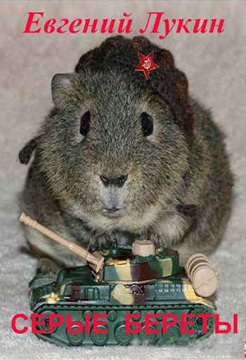 Обложка книги Серые береты