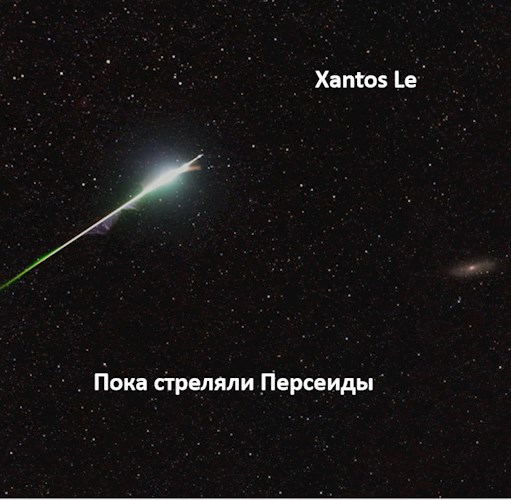 Обложка книги Пока стреляли Персеиды