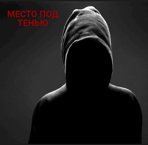 Обложка книги Место под тенью