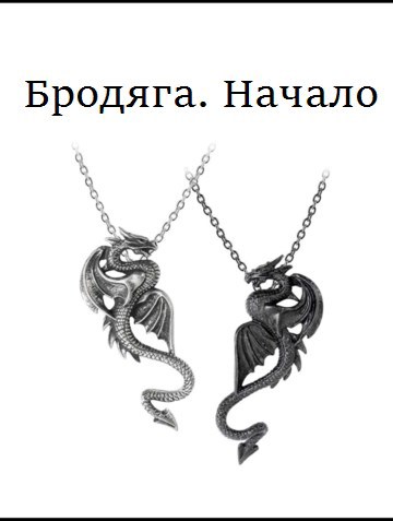 Обложка книги Бродяга. Начало