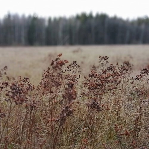 Обложка книги Двое